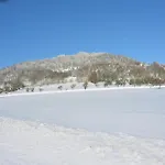 In Near Slopes