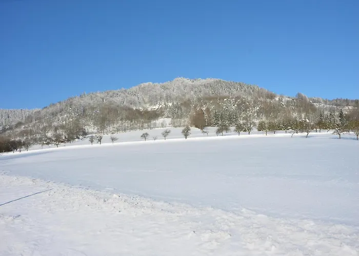 In Near Slopes